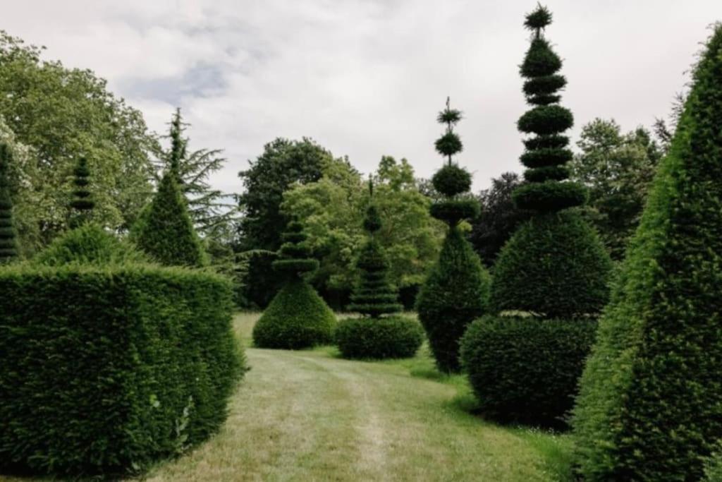 Cressy Hall - Historic Grade II Listed Manor, Gorgeous Topiary Garden Gosberton Extérieur photo