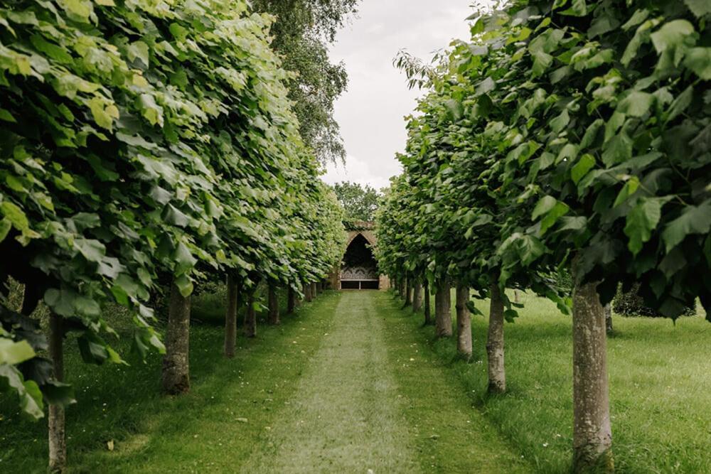 Cressy Hall - Historic Grade II Listed Manor, Gorgeous Topiary Garden Gosberton Extérieur photo